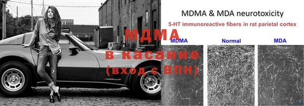 дмт Арсеньев